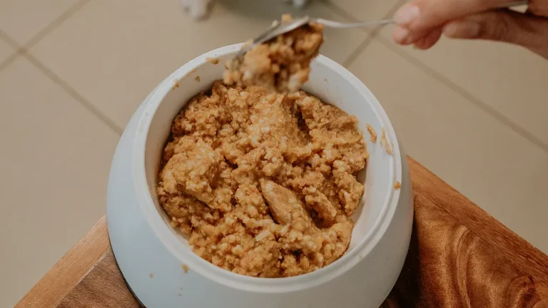 Common Myths About Private Label Pet Food