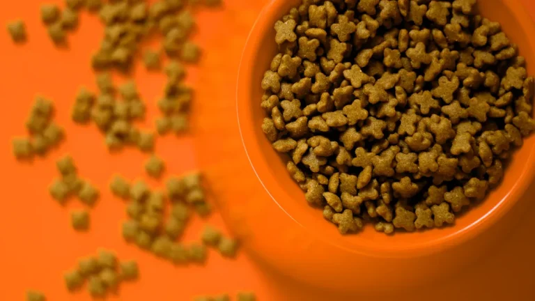 OEM Pet Food vs In-House Manufacturing Cost Comparison