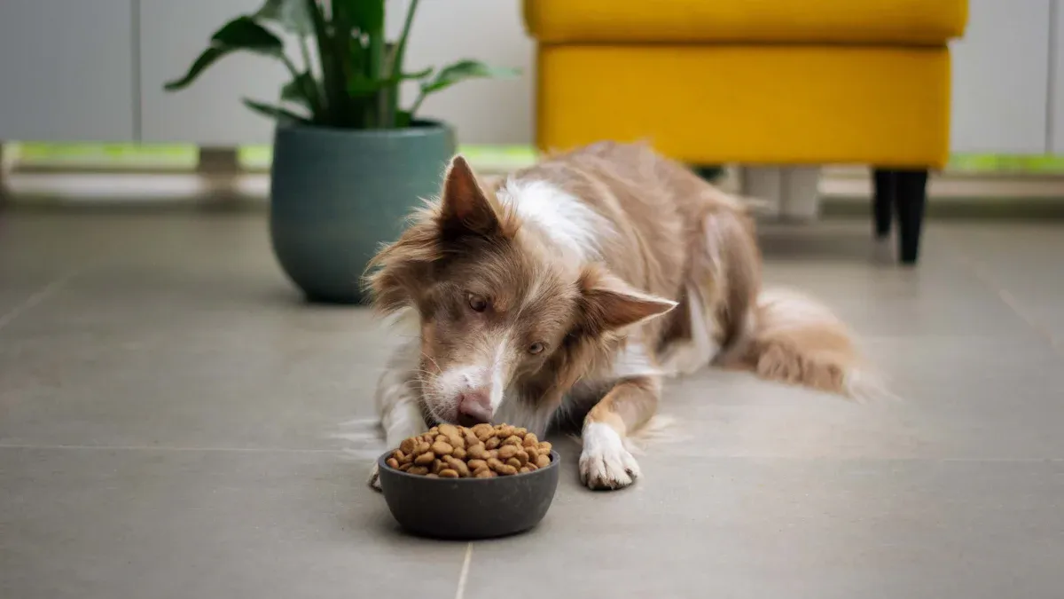 Market Drivers in Pet Food