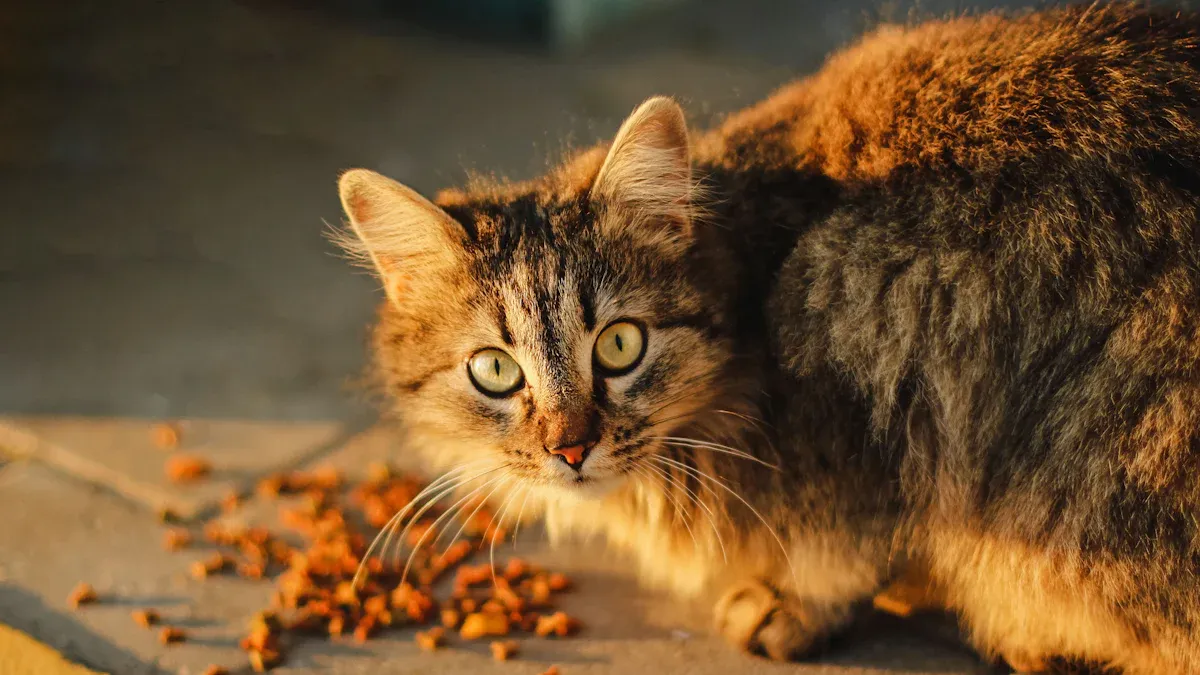 Benefits of Grain-Free Cat Food