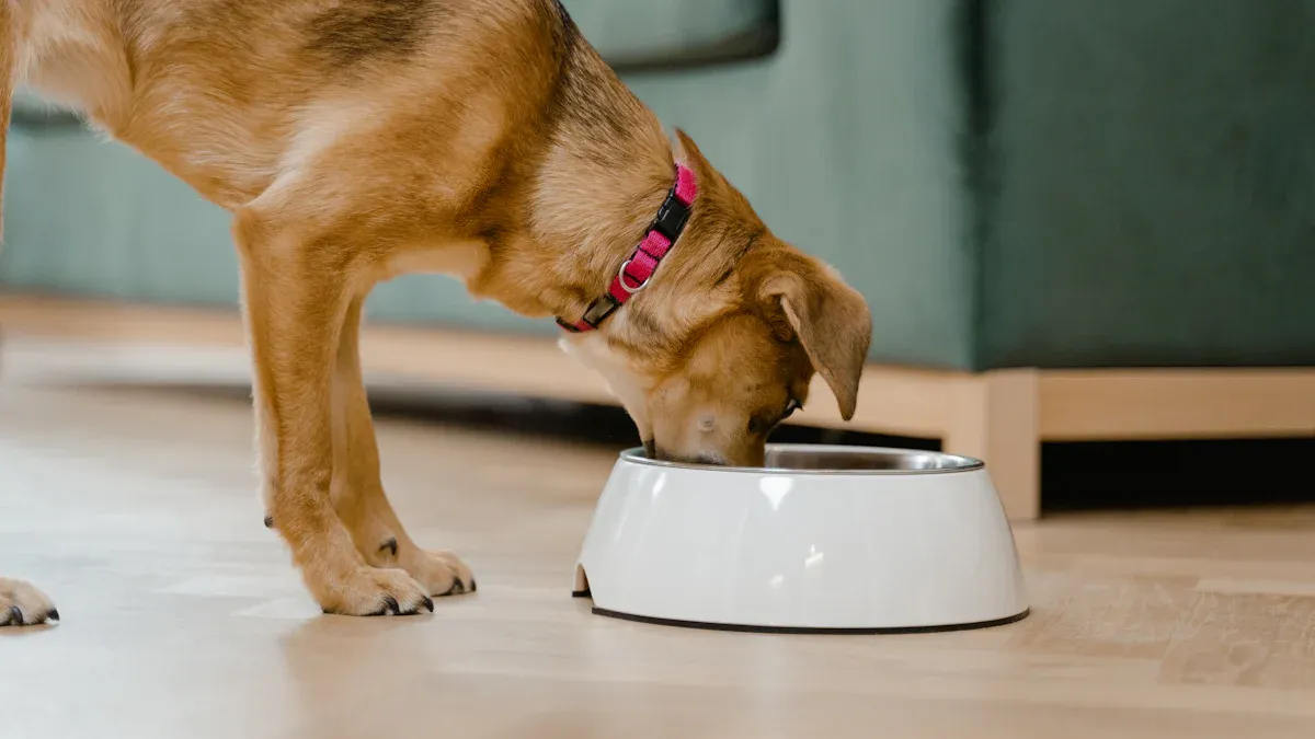 Start Your Pet Food Business