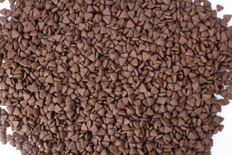 Can Small Brands Use Private Label Pet Food Manufacturing?