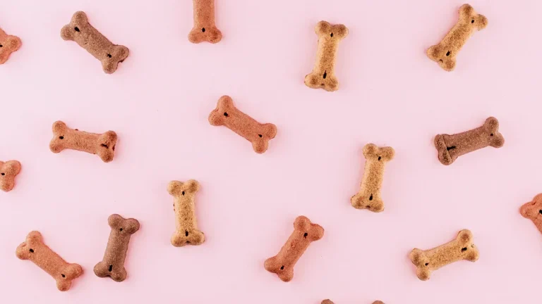 How to Validate a Private Label Pet Food Idea