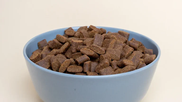 Is OEM Pet Food Safe for the US Market?