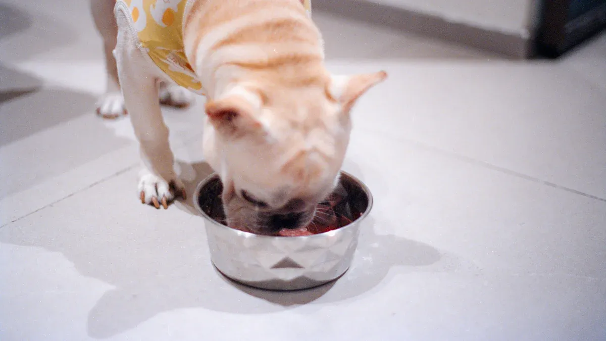 Quality Assurance and Evaluation in Petfood OEM