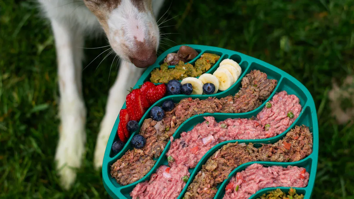 Evaluating Dog Food Quality