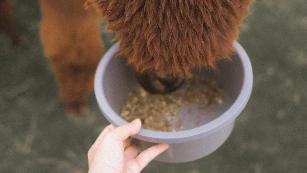 Production Process and MOQ in Petfood Catfood Dogfood