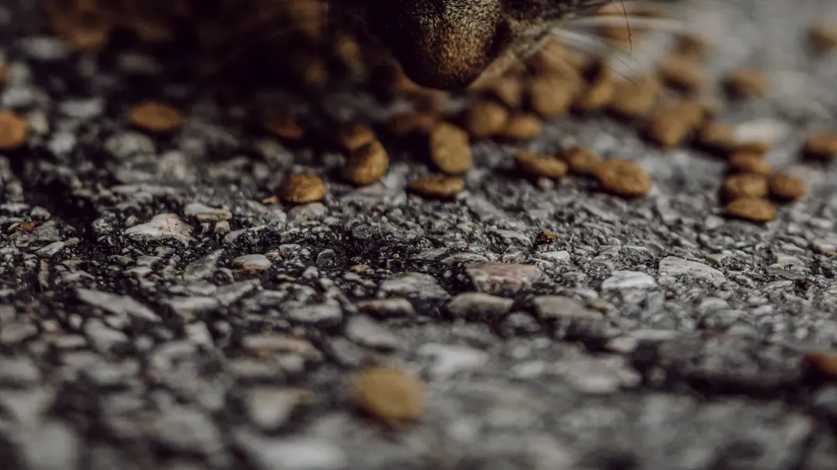 Ingredient Quality in Petfood Catfood