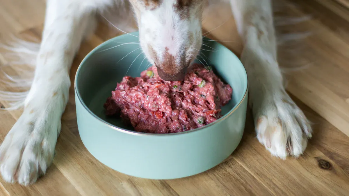 Petfood Safety Standards