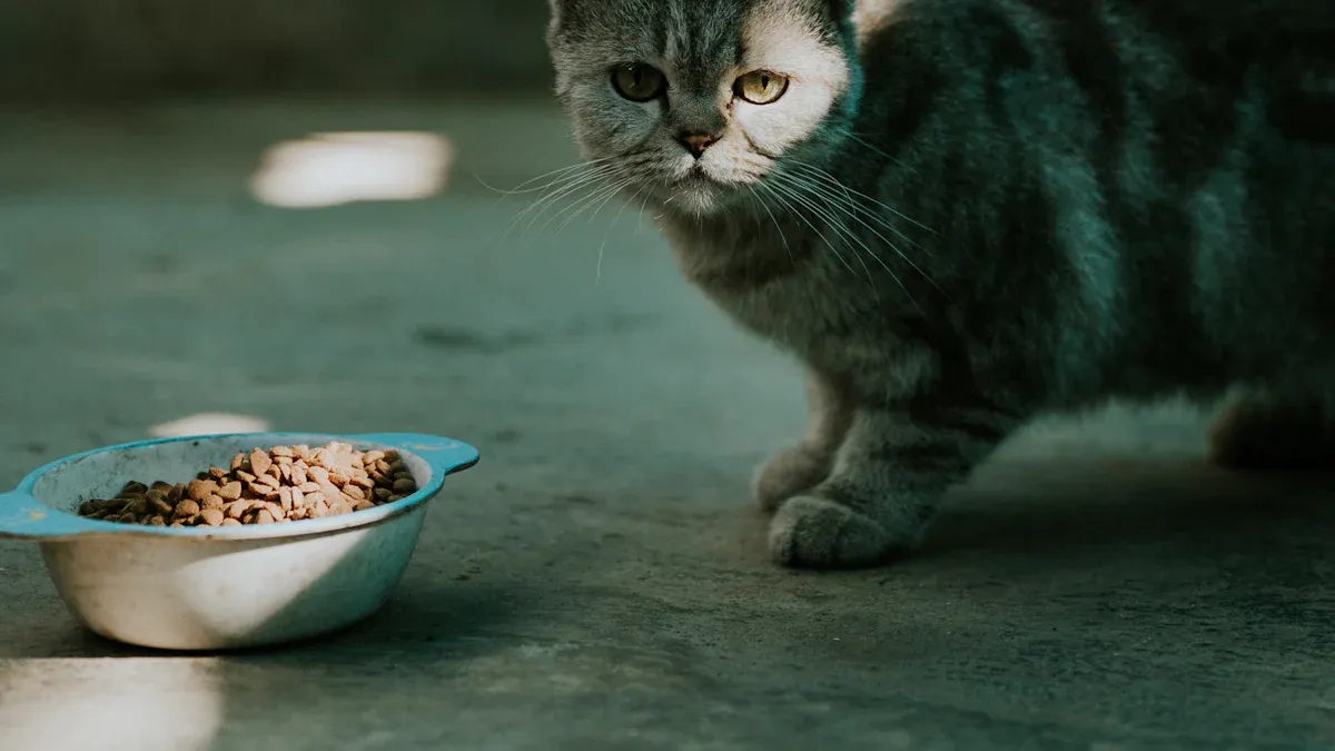 MOQ Overview for Dog Food and Cat Food