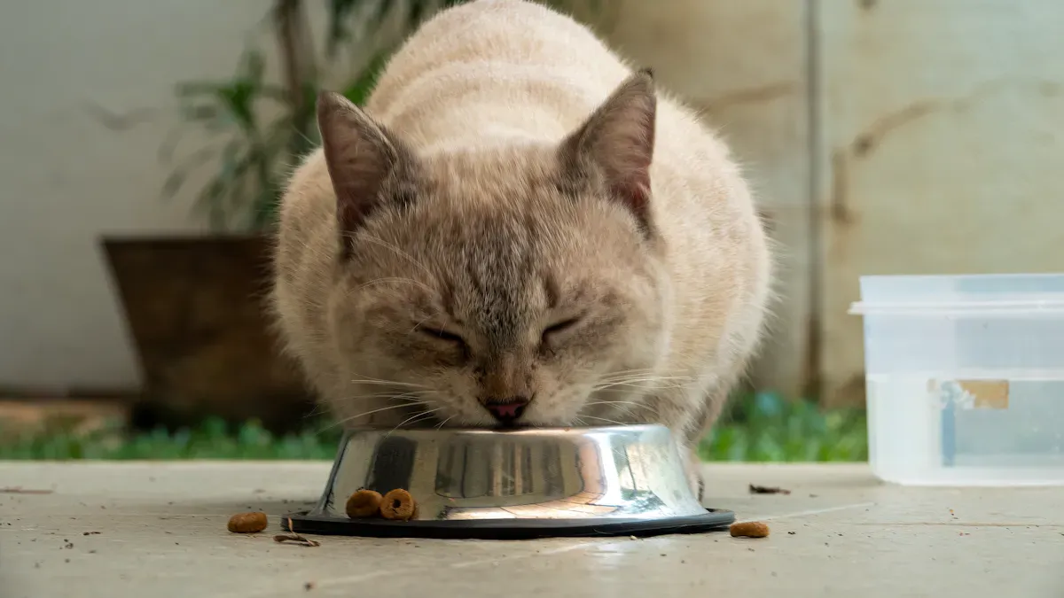 Nuzoko Petfood Ingredients & Nutrition