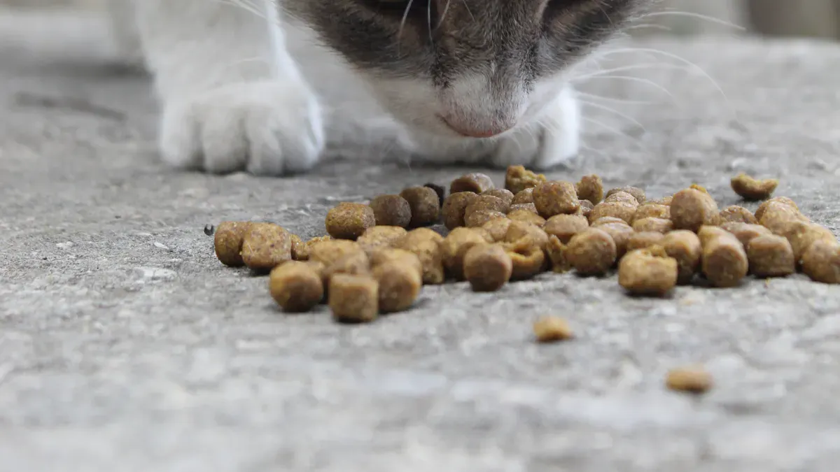 Understanding Palatability in Cat Food
