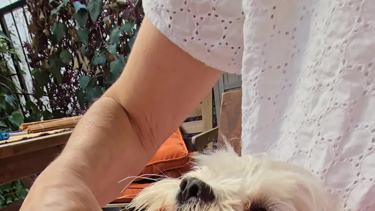 Real-World Petfood Success Stories