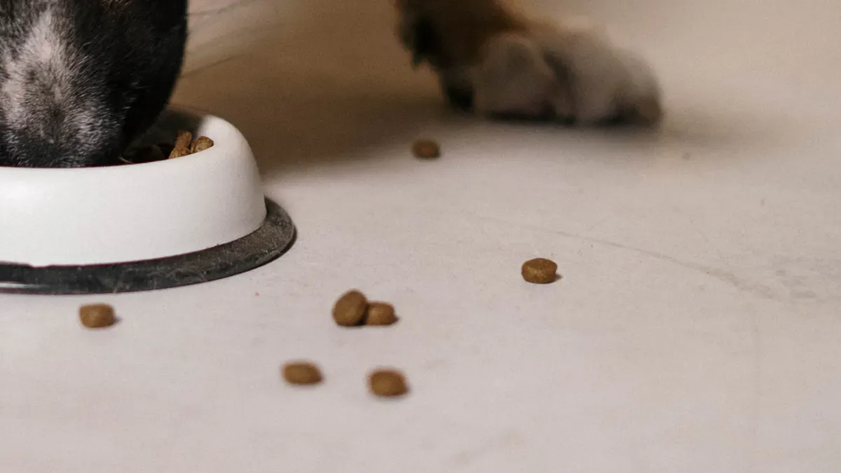Center-Filled Kibble Benefits