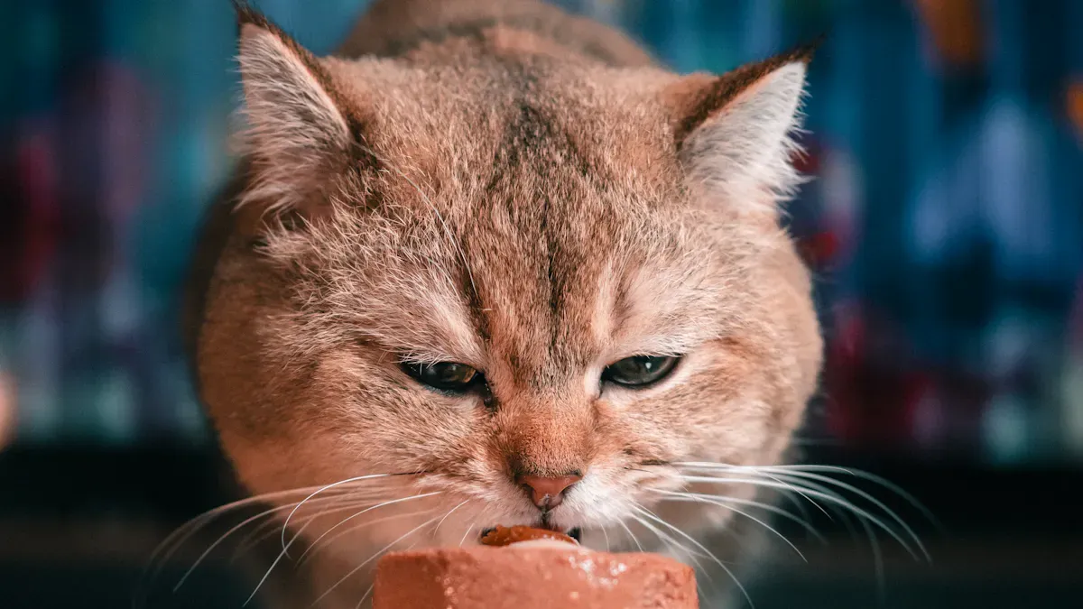 Protein Source Quality in Petfood