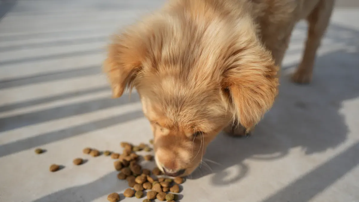 North American Petfood Trends