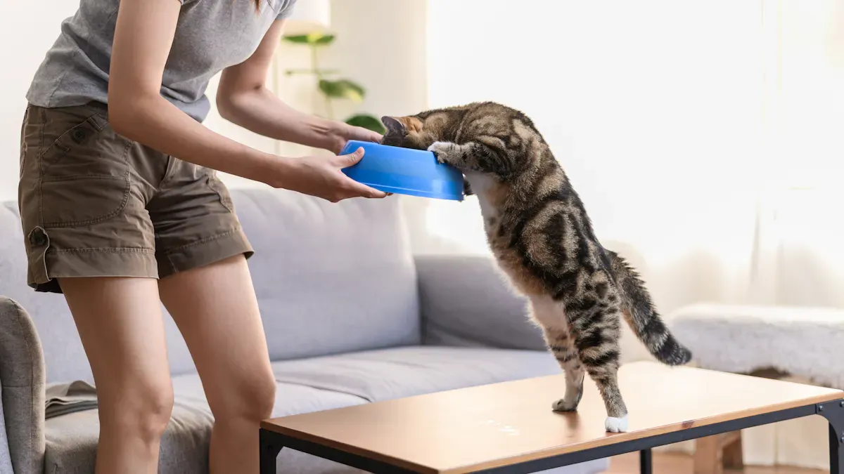 Impact on Cat Health and Consumer Choice