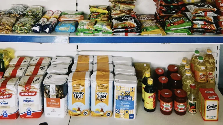 Key Steps to Meet International Standards for Dry Cat Food Export