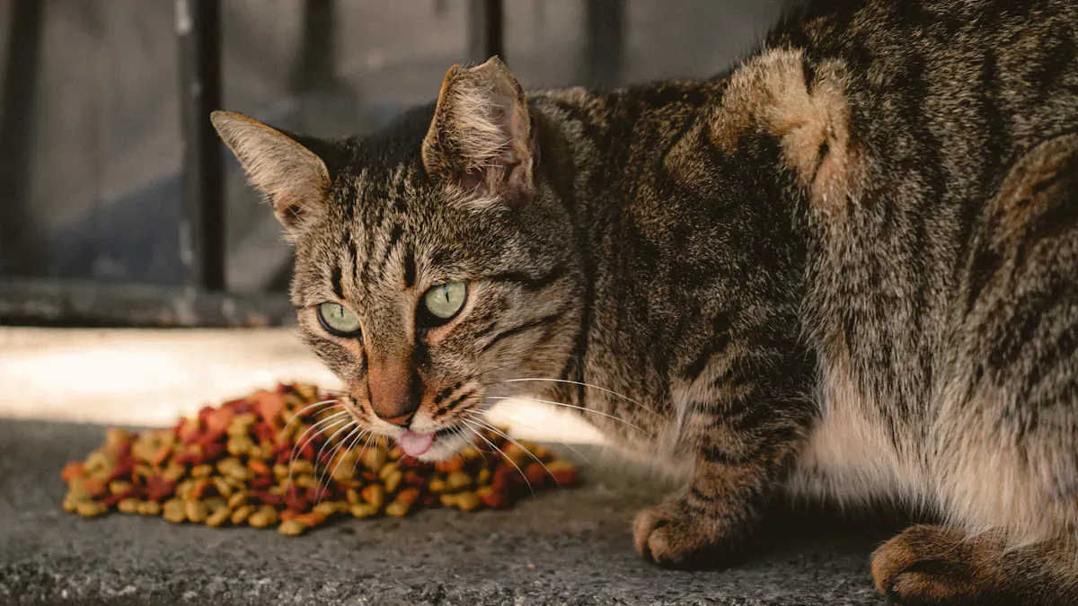 Challenges of Additive-Free Baked Cat Food
