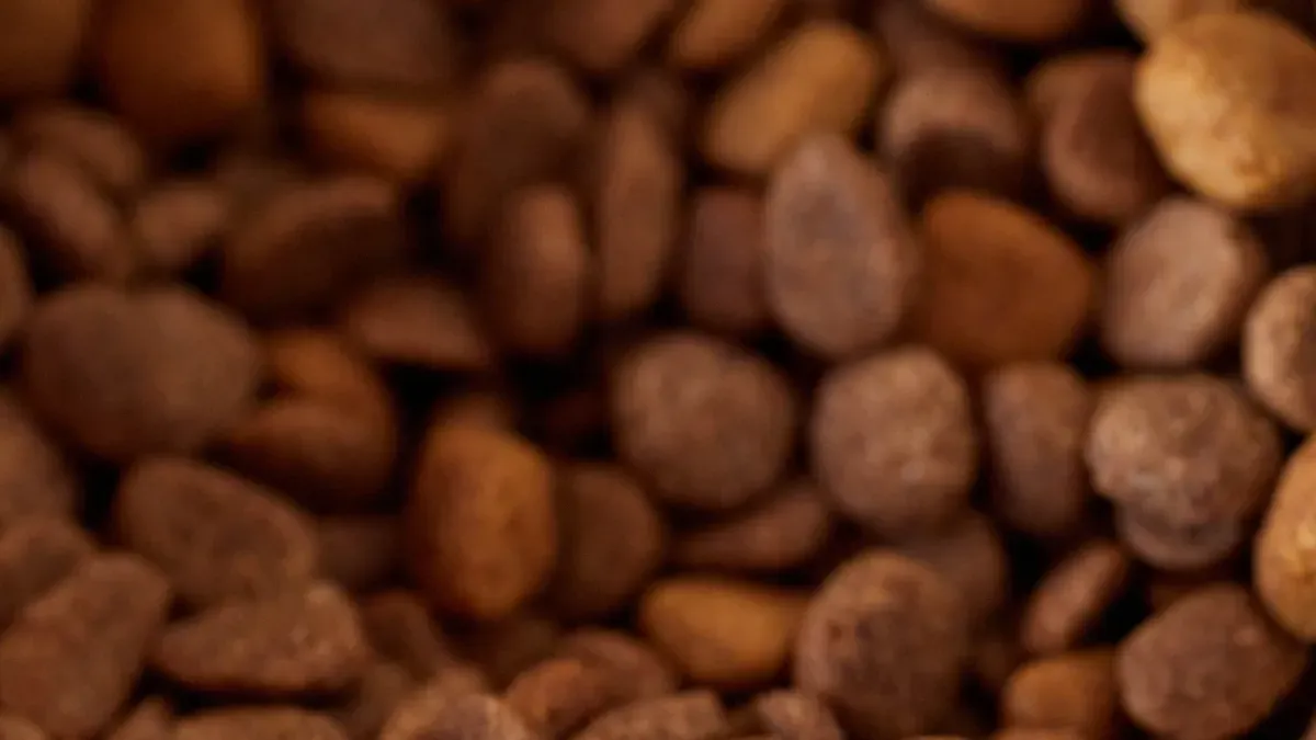 Dry Cat Food OEM Strategy