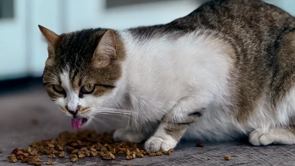 Sensory Appeal of Wet Cat Food