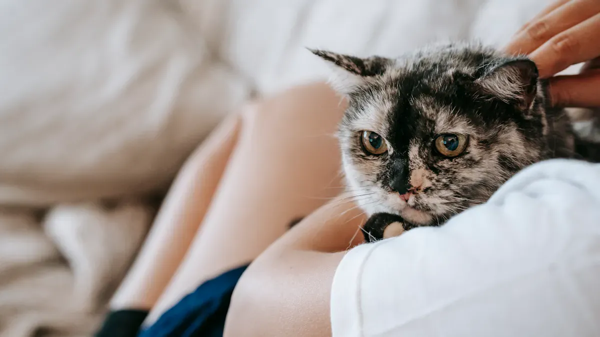 Foster Loyalty and Trust