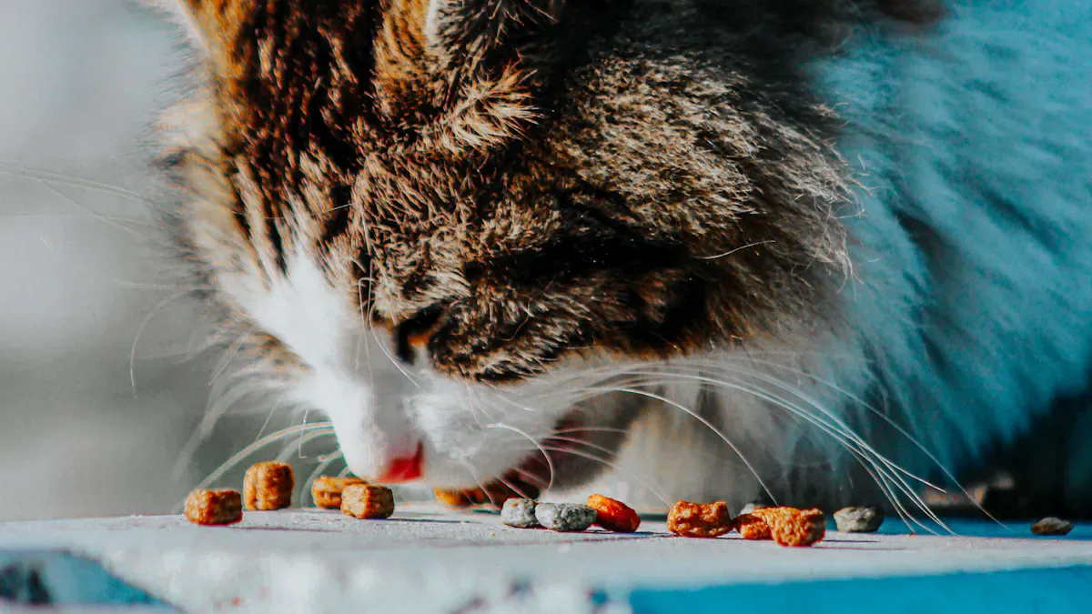 Key Scenarios for Wet Cat Food