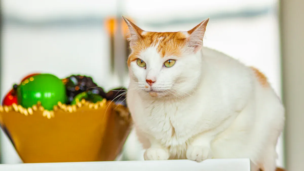 Wet vs Dry Cat Food: OEM Strategy Comparison
