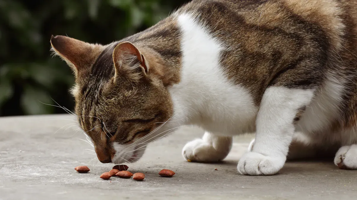 Why Cats Love Center-Filled Kibble