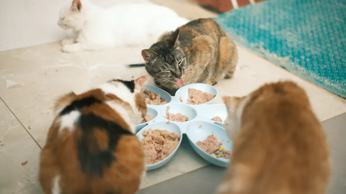 Wet Cat Food Production and Packaging