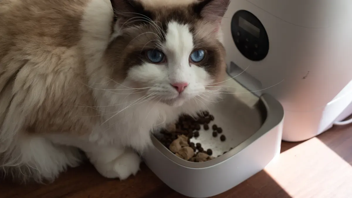 Baked Cat Food Differentiation