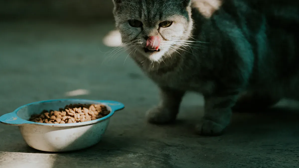 Functional Wet Petfood Benefits