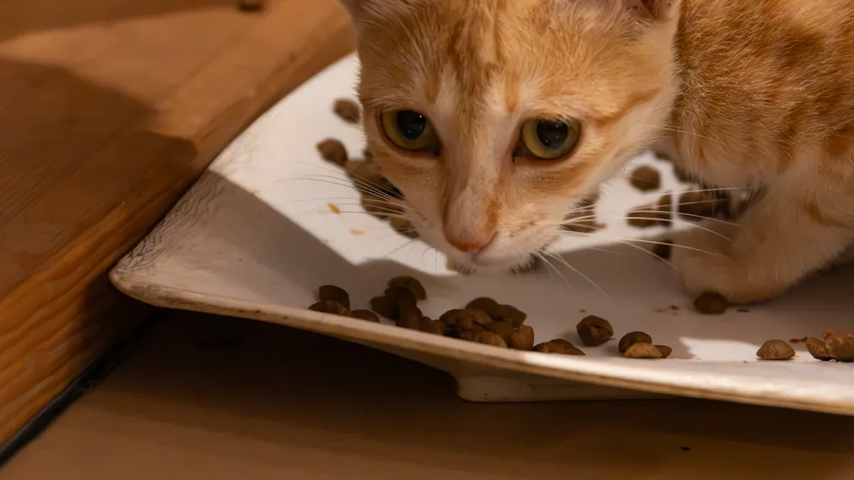 Sourcing Cat Food Ingredients