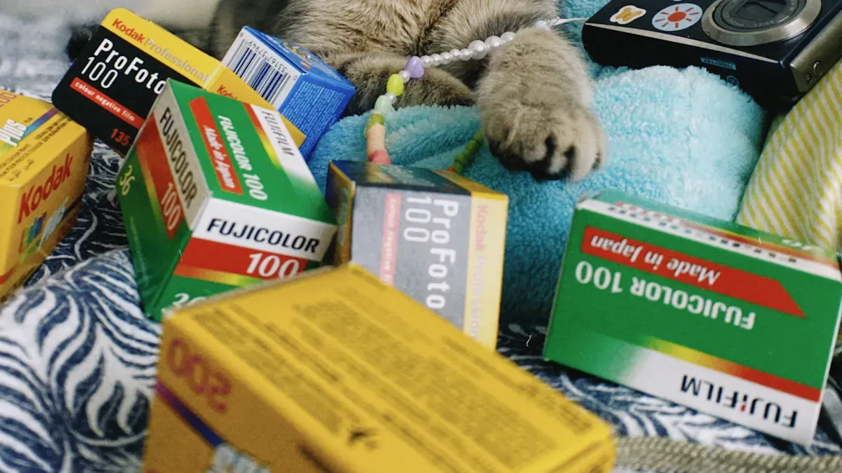 Packaging and Branding for Wet Cat Food