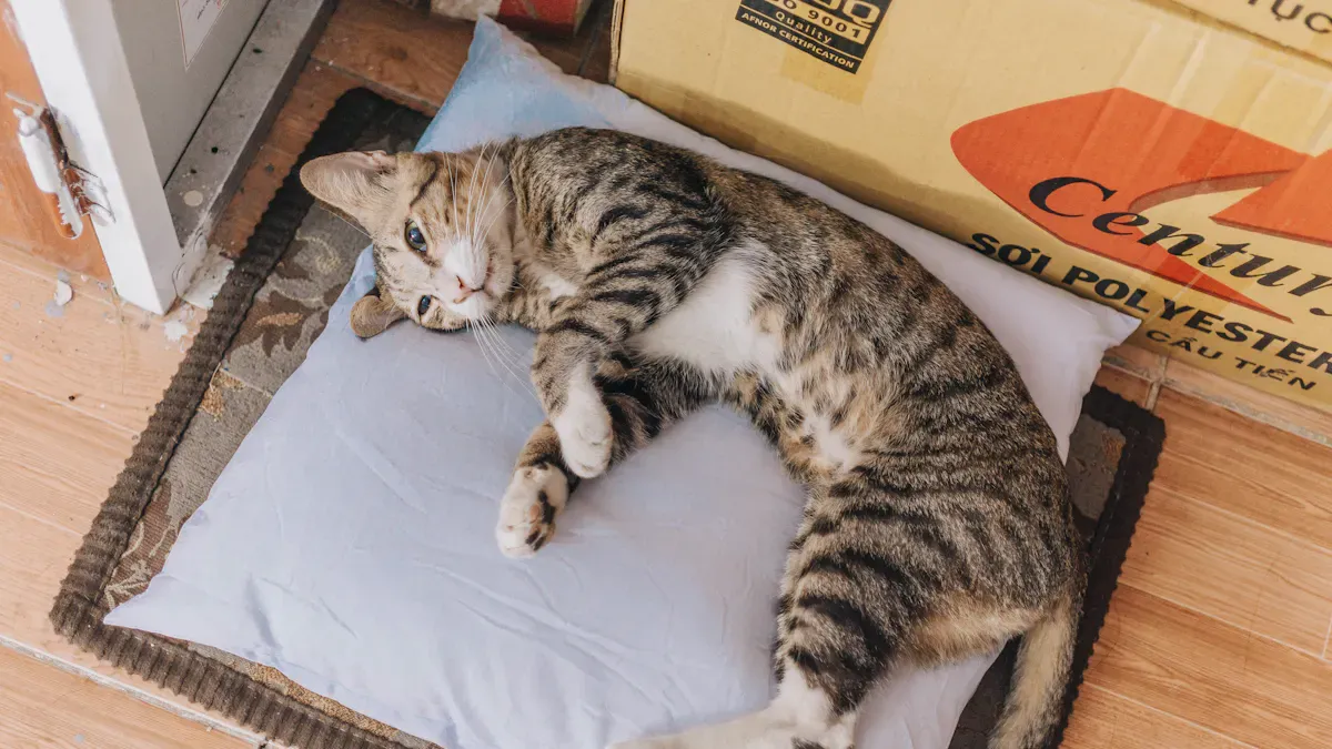 Catfood Export Documentation