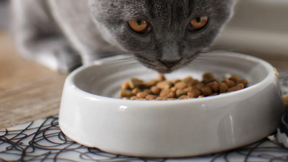 Why Cats Need Protein