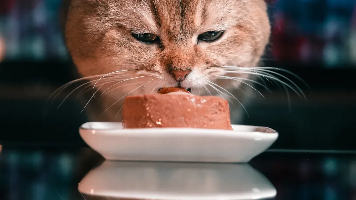 Natural catfood ingredients