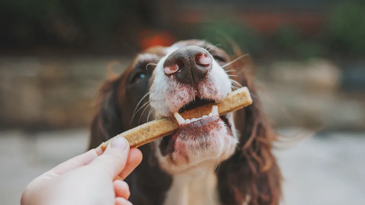 Launching Novel Protein Petfood