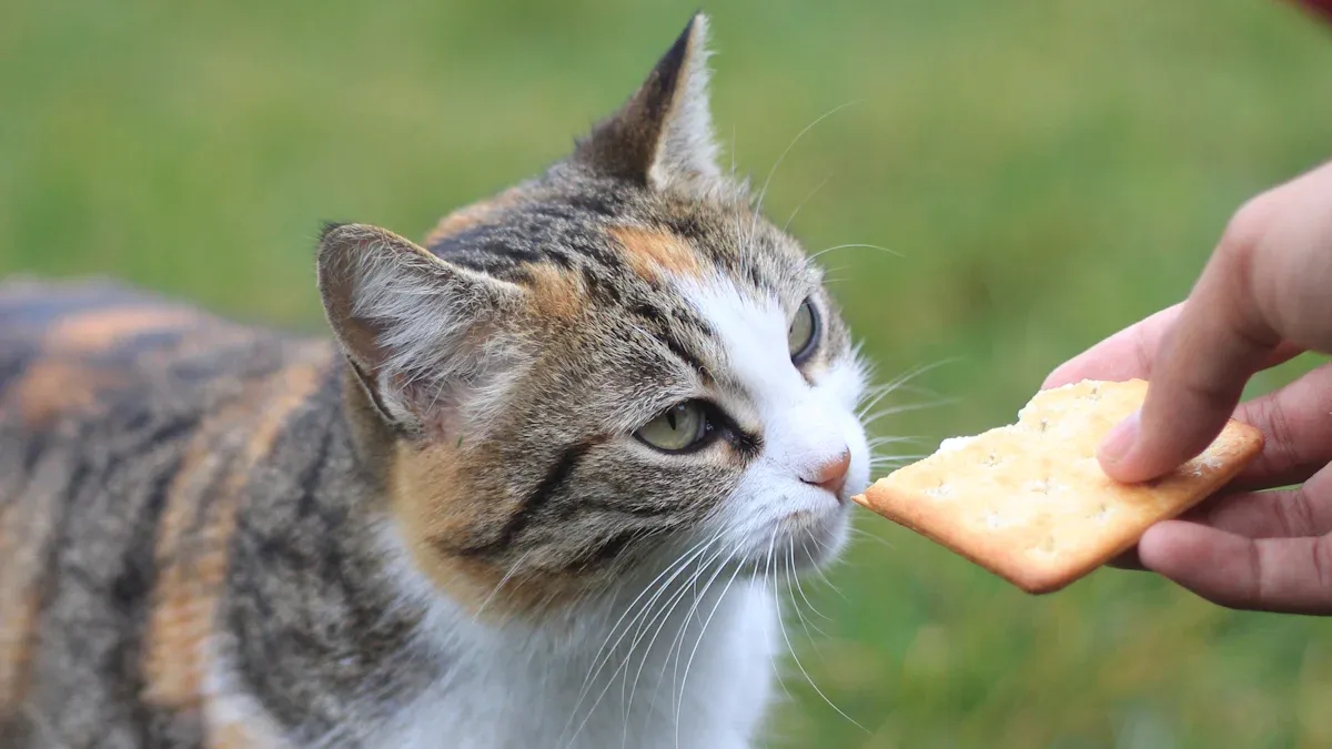 Palatability and Transitioning Pet Food