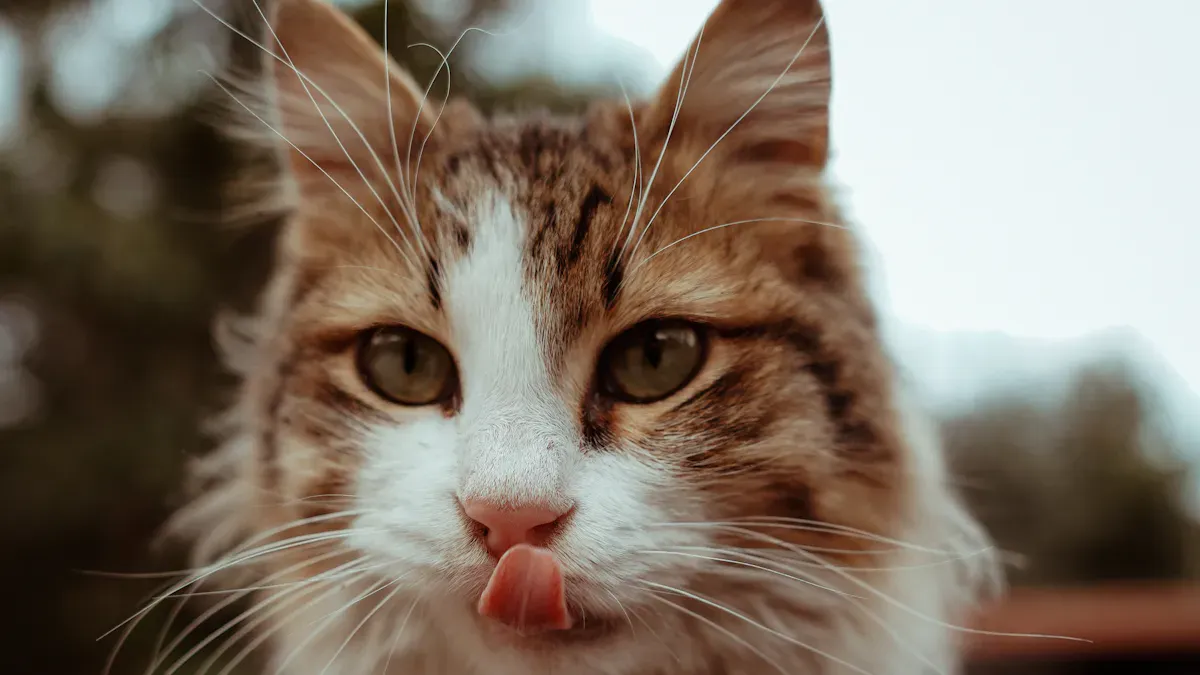 Best Cat Food for Hairballs 2026