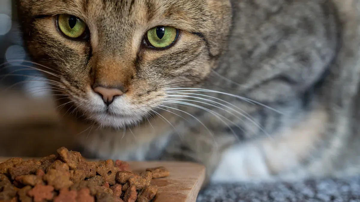 Catfood Features Pets Crave