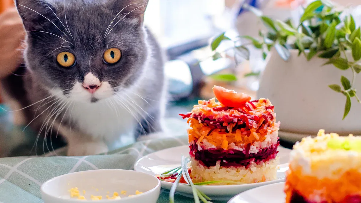 Emotional Connections in Specialty Pet Foods
