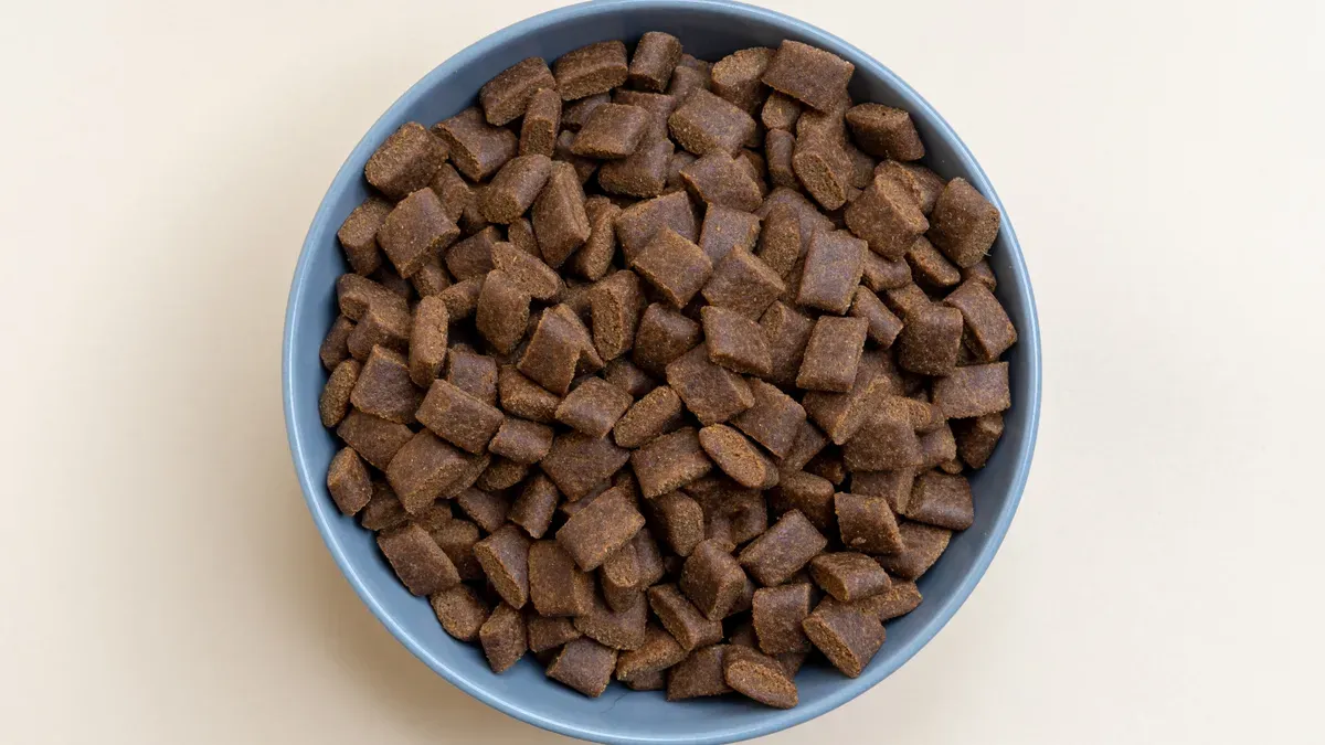 Functional Ingredients Shaping Cat Food