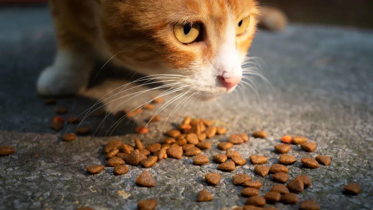 Quality Success Stories in Pet Food