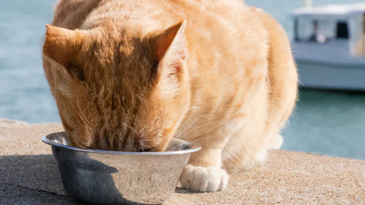 Understanding Cat Food Palatability