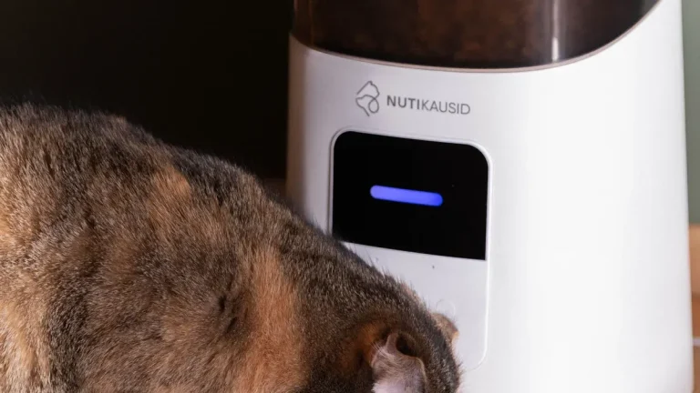 Top Trends Driving Premium Catfood Manufacturing in 2026