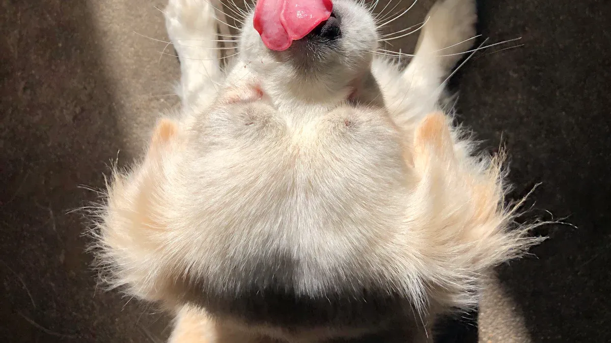 Premium Petfood Drivers