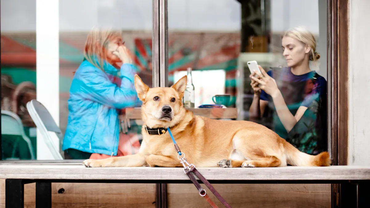 Managing Lead Time with Pet Food Manufacturing Partners