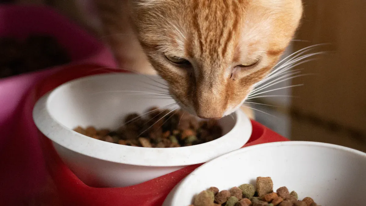 Catfood trends in private label pet foods