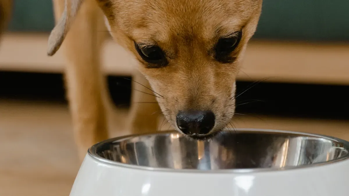 OEM Manufacturing Basics for Pet Food Brands